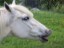 blanka111_1104_bearbeitet-1