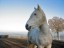 blanka115_1502_bearbeitet-1